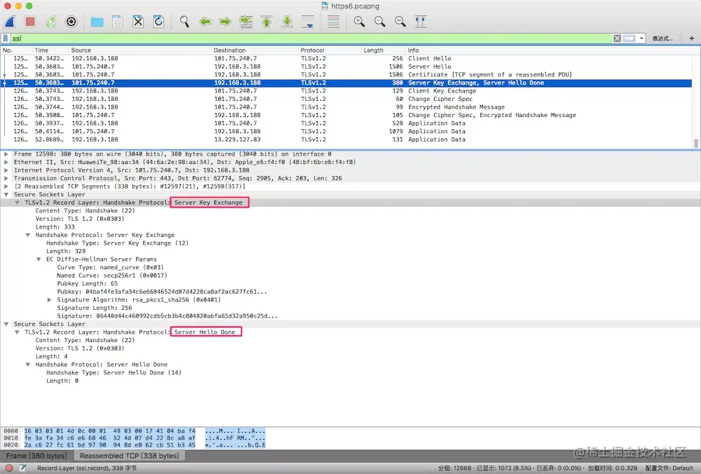 Server Key Exchange/Server Hello Done