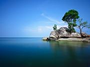 YOUNG爱学习37568的个人资料头像