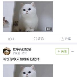 Fightfl于2019-02-17 12:38发布的图片