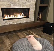 Joygo的个人资料头像