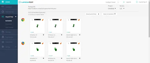 非跨浏览器兼容的网站
