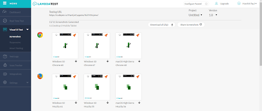 非跨浏览器兼容的网站