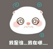 naviloda的个人资料头像