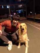 一只飞不动的老鸟的个人资料头像