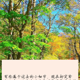 建飞学习是一种能力于2019-02-19 07:30发布的图片