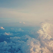 AFews的个人资料头像