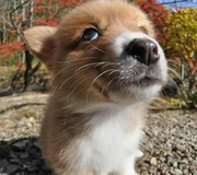 seven喜欢春季的个人资料头像