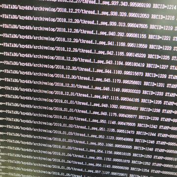 yogn于2019-02-02 14:45发布的图片