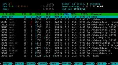 A list of processes as displayed by htop