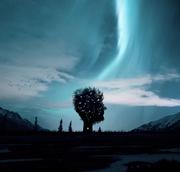 亿光跋悟的个人资料头像