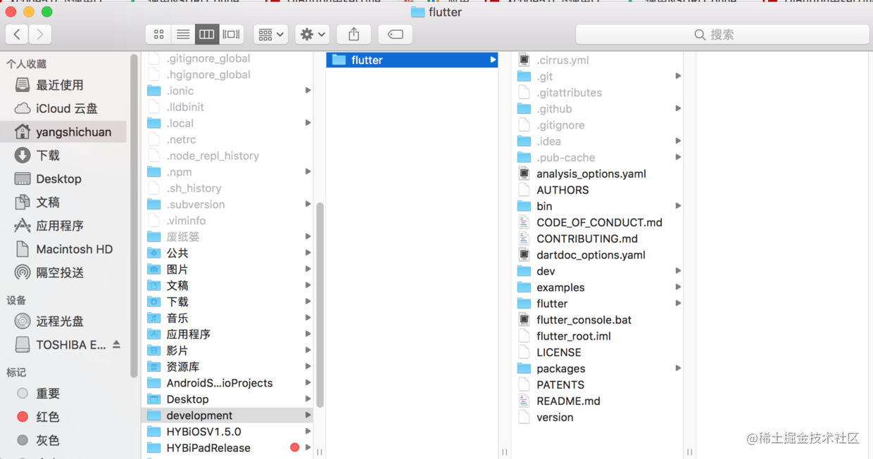 Build up the Flutter environment and install the development software ...