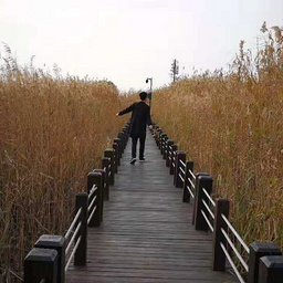 开源我的 GPT-Image2 生图 Skill，附大量玩法指南