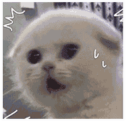 python3爬虫入门教程