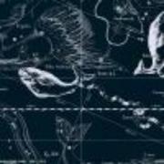 一酱47359的个人资料头像