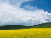 非行的个人资料头像