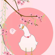 jammy酱的个人资料头像