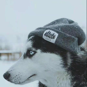 DYU的个人资料头像