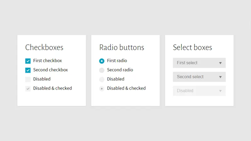 Demo Image: Custom Checkboxes, Radio Buttons And Select Boxes
