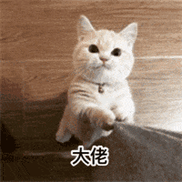 白给程序员于2019-02-27 11:29发布的图片