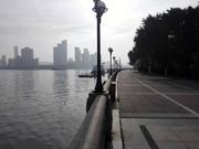 赤小豆1的个人资料头像