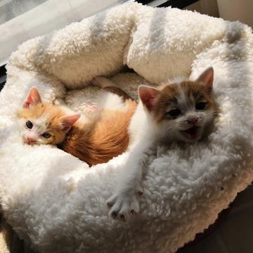 已注销于2019-02-27 12:20发布的图片
