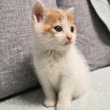 已注销于2019-02-27 12:20发布的图片