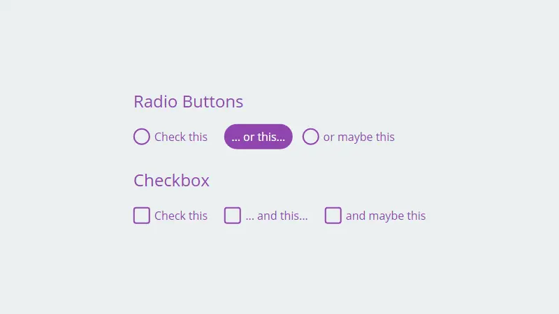 Demo Image: Pure CSS Fancy Checkbox/Radio