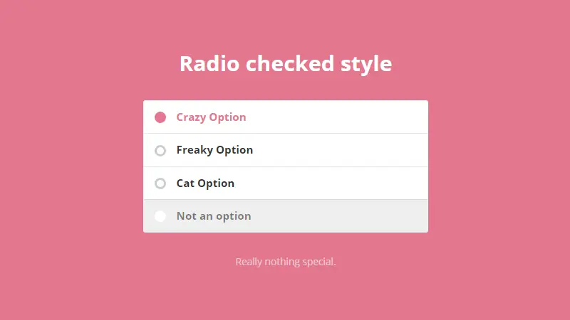 Demo Image: Radio Checked Style