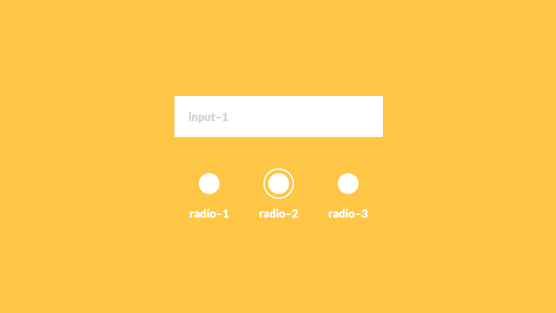 Demo Image: Input & Radio-Button