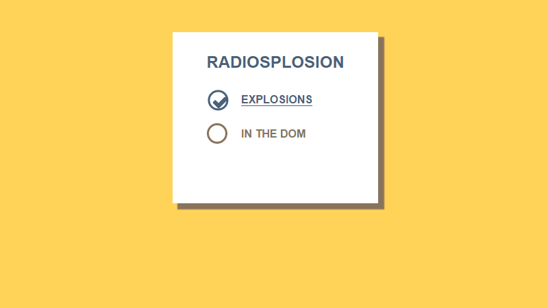 Demo Image: Custom CSS3 Radio Button