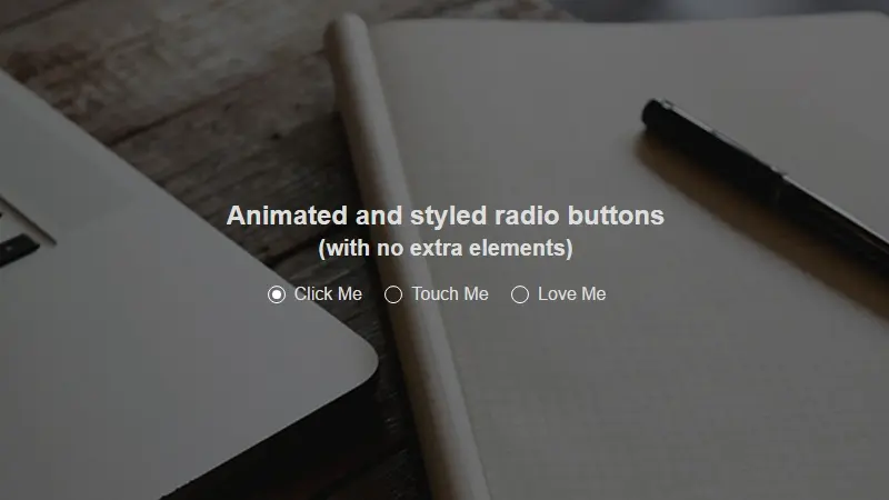 Demo Image: 2 Elements 1 Styled Radio