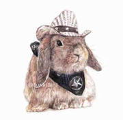 小幕的个人资料头像