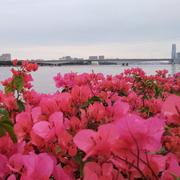 没伞唯奔跑Ying的个人资料头像