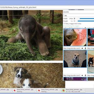 插件控于2019-02-28 16:52发布的图片