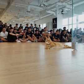 凛酱于2019-02-28 17:19发布的图片