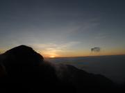 瓶子的罐子的个人资料头像