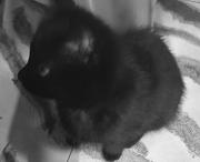 n3e97的个人资料头像