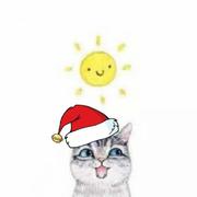 祈雨v的个人资料头像