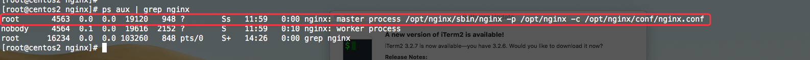 server-where-nginx