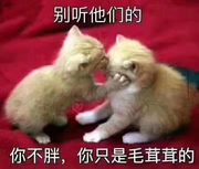 渴望变大神的小白的个人资料头像