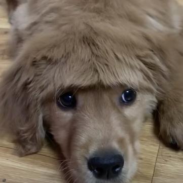 nbvg于2019-02-09 14:33发布的图片