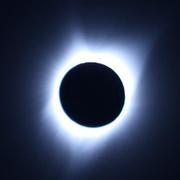 chicharito的个人资料头像