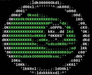 chmod666的个人资料头像