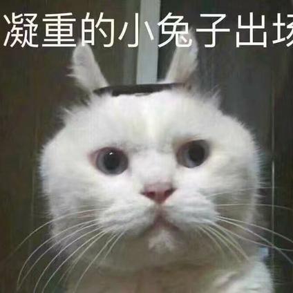 reply1988于2019-03-10 01:59发布的图片