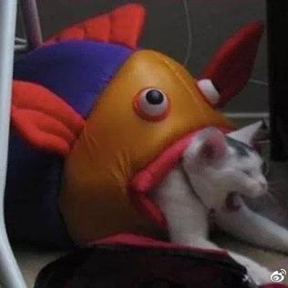 YYmonster于2019-03-10 09:31发布的图片