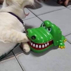 YYmonster于2019-03-10 09:31发布的图片