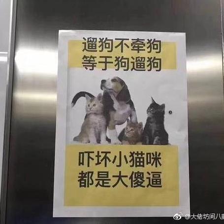 YYmonster于2019-03-10 09:31发布的图片