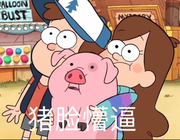 vine的个人资料头像