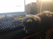 神神器器不懂老师的个人资料头像