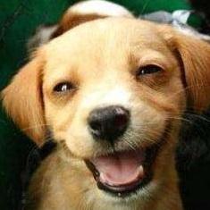 taotaozi于2019-03-11 13:55发布的图片